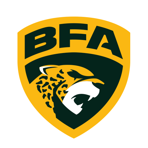 BFA: Saiba tudo sobre o Brasileirão de Futebol Americano 2019