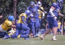 Uberlândia recebe o Gerais Bowl neste sábado com duelo entre Lobos e Cruzeiro Jogo de estreia os Lobos levaram a melhor. (Foto: Gol Click)